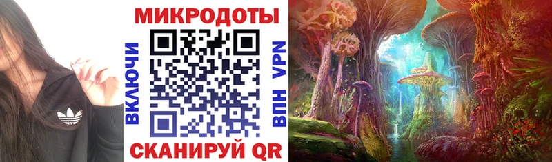Галлюциногенные грибы Psilocybine cubensis Подпорожье